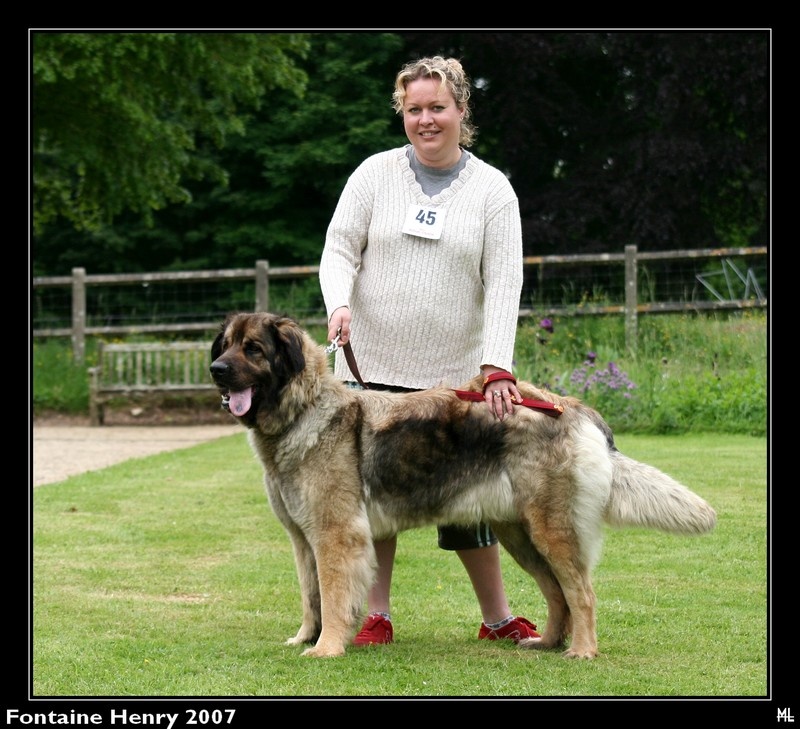 Awai des lions de la ferronniere